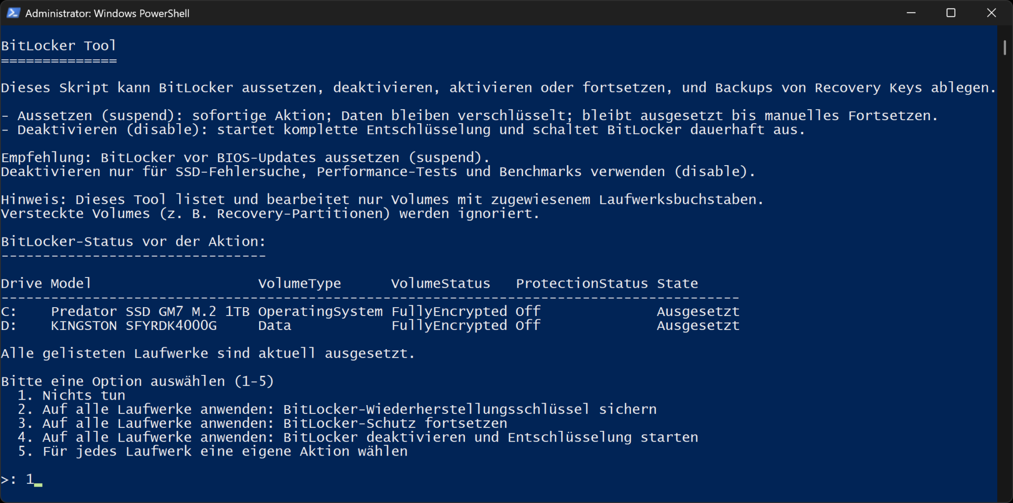 BitLocker (and Device encryption) Tool - Download Portal